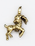 Capricorn charm