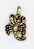 Scorpio charm
