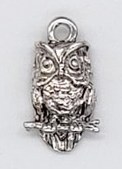 Owl charm