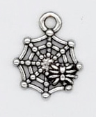 Spider & Web charm