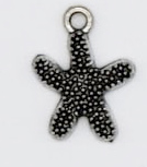 Star Fish charm