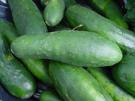 cucumbers