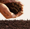 dirt