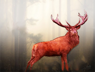 red musk oil