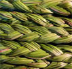 sweetgrass braids