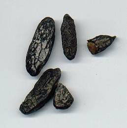 Tonka Beans