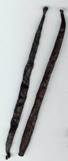 vanilla pods